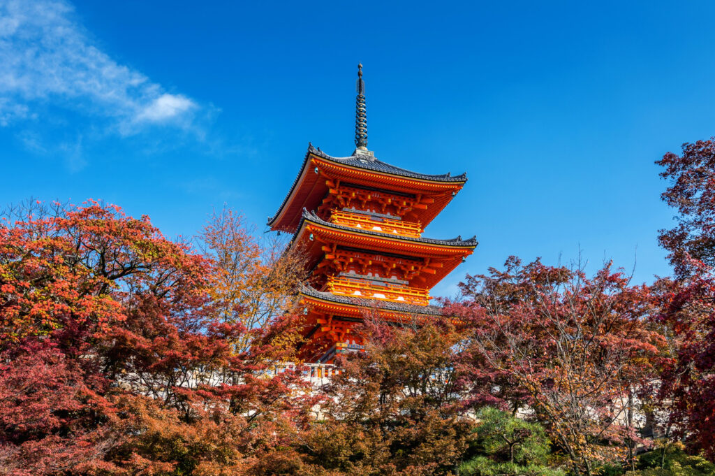 Must-see places in Kyoto, Japan, including the iconic Fushimi Inari Shrine, the serene Kinkaku-ji (Golden Pavilion), and the scenic Arashiyama Bamboo Grove