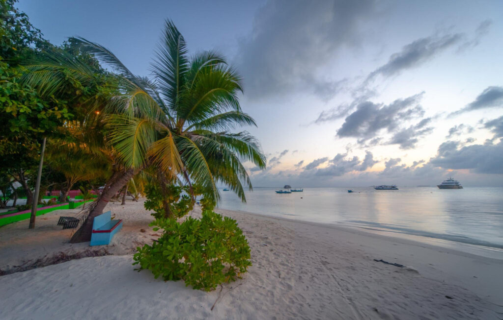 A serene beach on Dhangethi Island, Maldives, with white sand, swaying palm trees, and clear turquoise waters under a bright blue sky