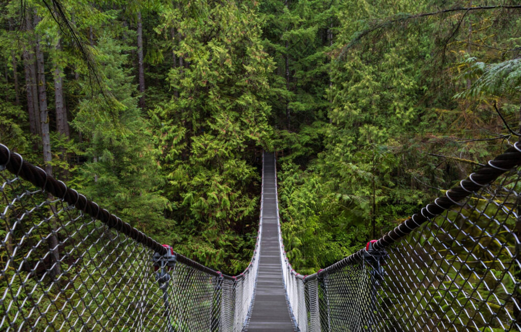 Capilano Suspension Bridge in Vancouver, Canada, suspended above a dense green forest with visitors walking across