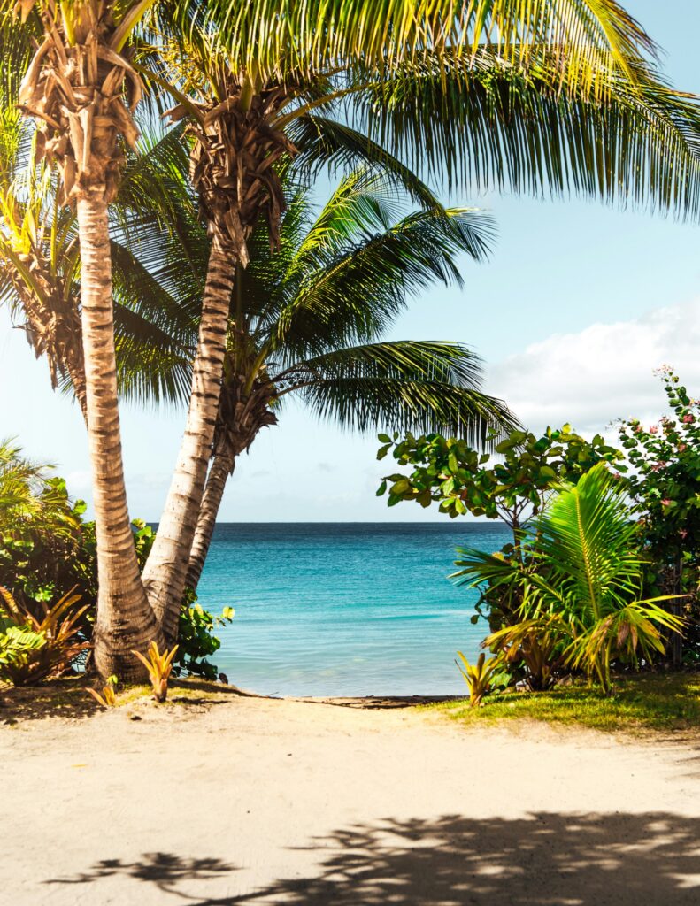 Beautiful sandy beach with turquoise waters and palm trees in Cebu City