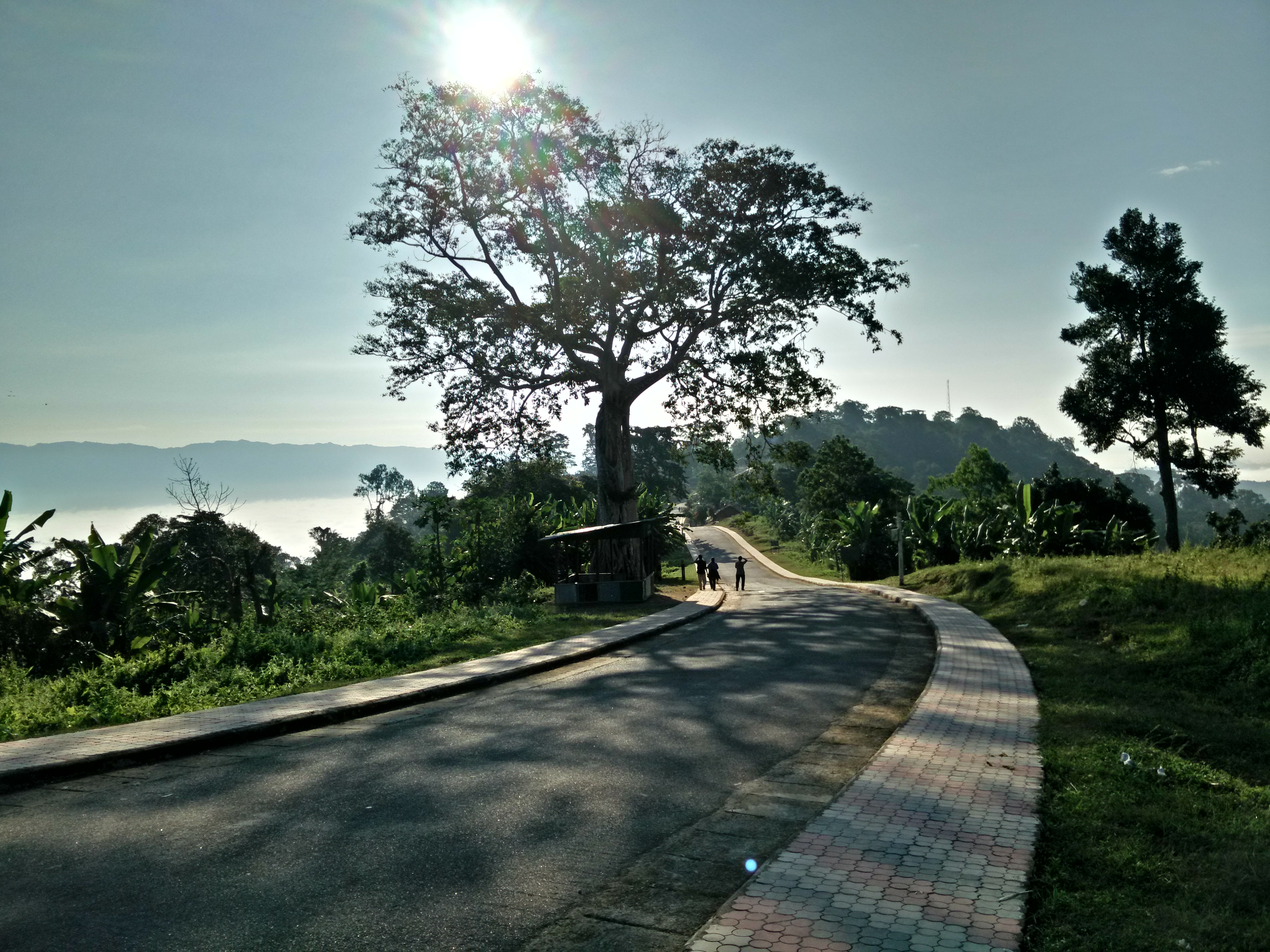 A winding road cutting through the misty hills of Sajek Valley, surrounded by lush greenery and distant mountain views in Rangamati, Bangladesh.