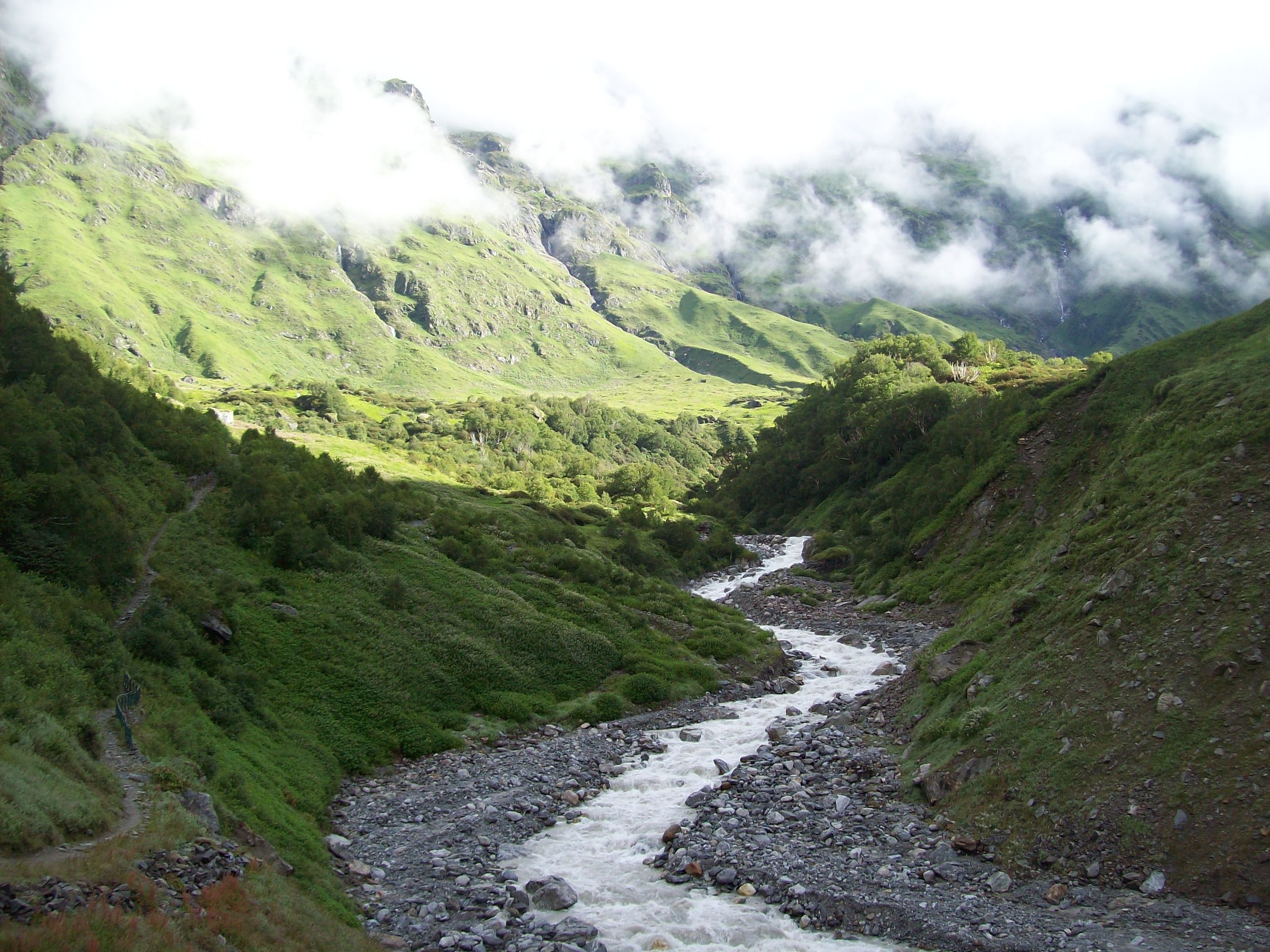 Waterfall cascading through lush greenery in the Valley of Flowers, Uttarakhand, India