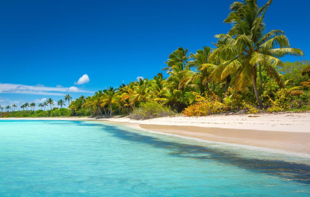An aerial view of Punta Cana, Dominican Republic, showcasing the coastline with pristine beaches, turquoise waters, and luxury resorts