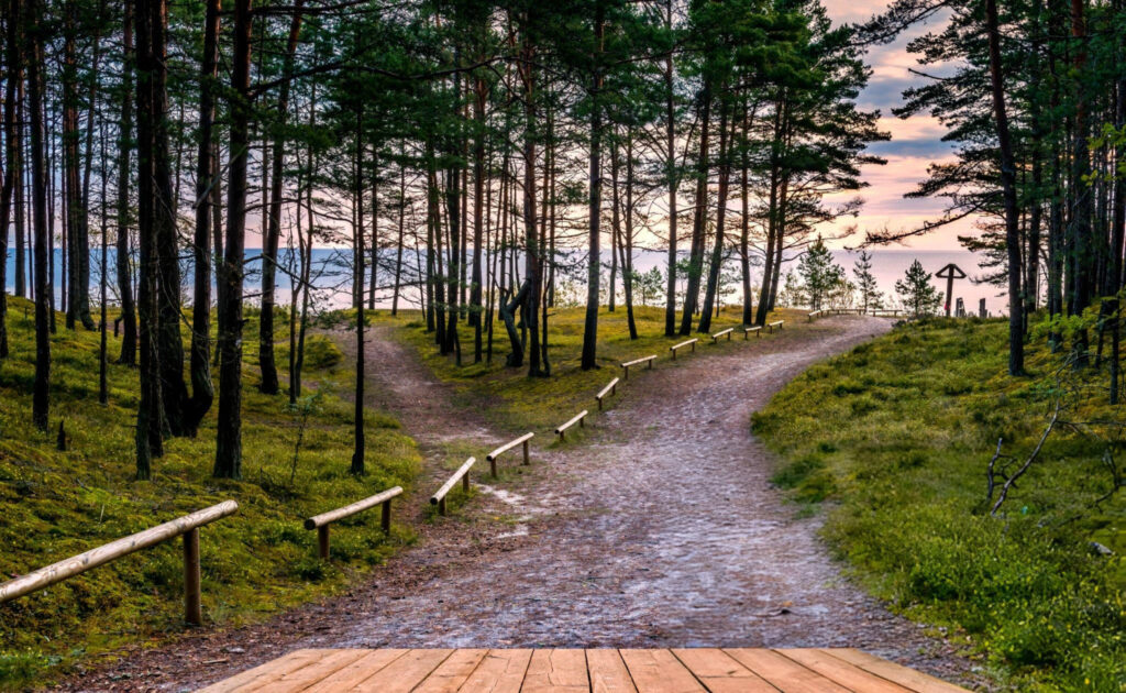 Lush greenery and natural landscapes in Jūrmala, Latvia