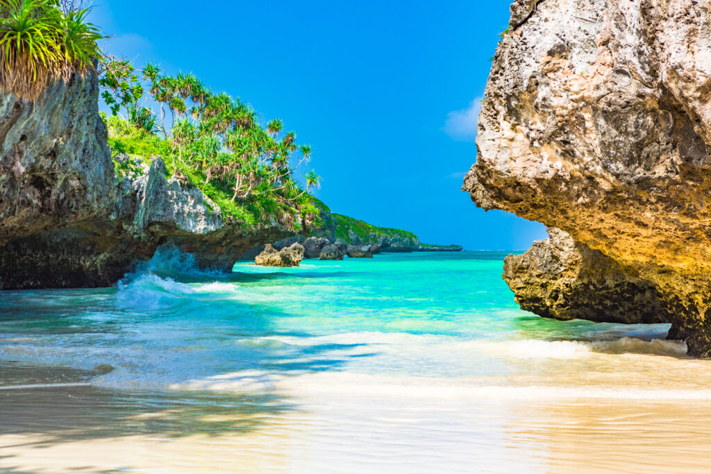 A stunning panoramic view of a beach in Zanzibar, showcasing soft white sands, clear turquoise waters, and palm trees lining the shore under a bright blue sky