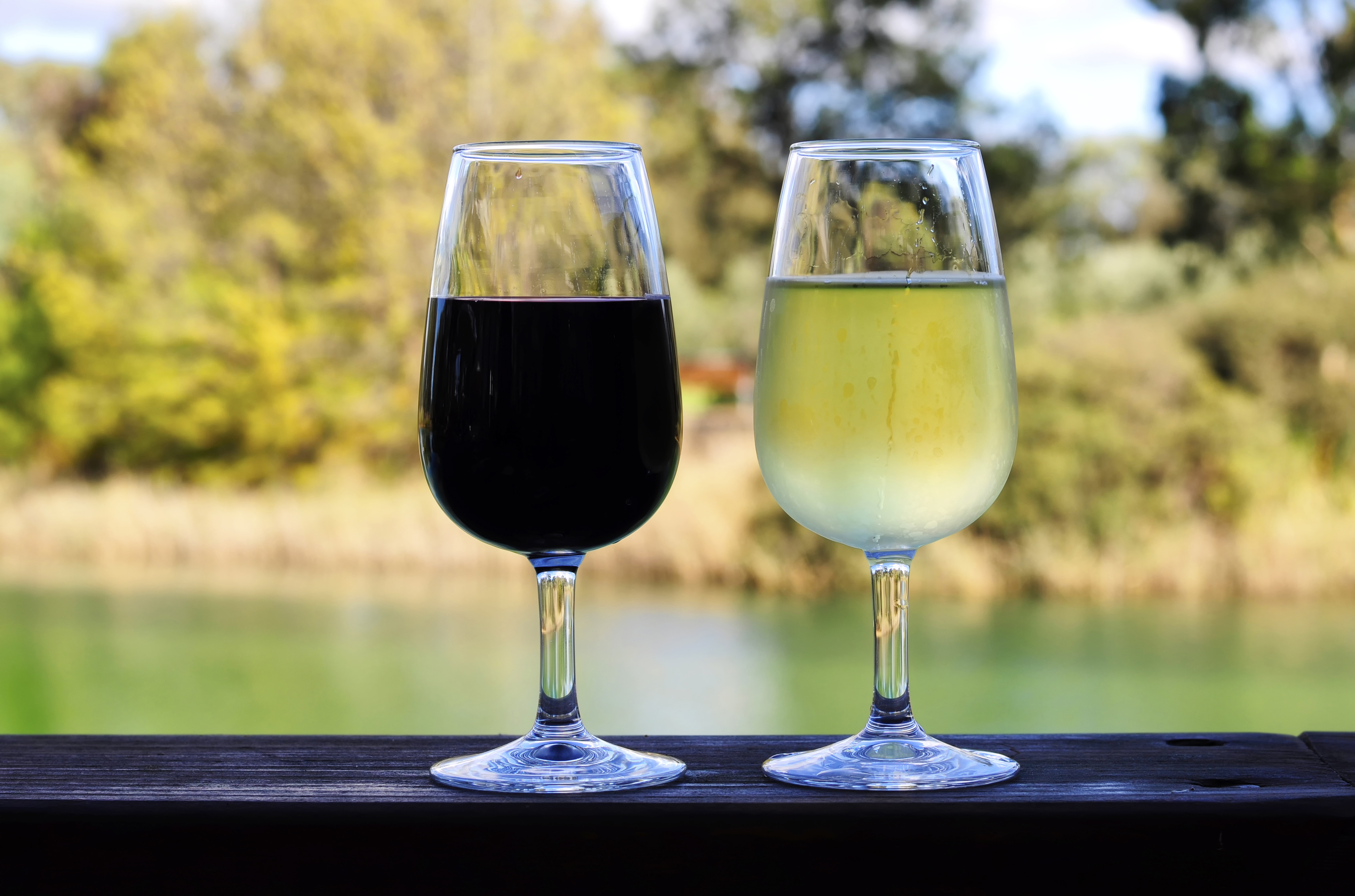 Close-up of a glass of red wine held against a backdrop of Barossa Valley vineyards in South Australia, with rows of grapevines and soft afternoon light