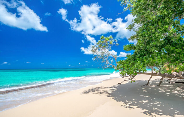 A serene view of Playa Rincón Beach in Samaná, Dominican Republic, with white sand, turquoise waters, lush palm trees, and a freshwater stream flowing into the ocean surrounded by mangroves