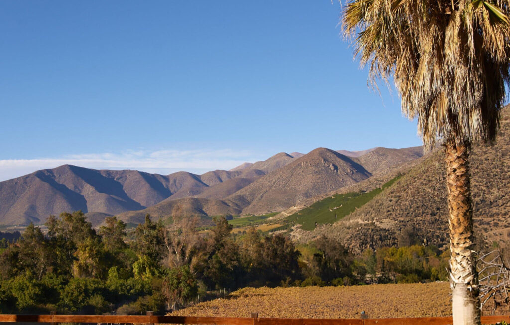Panoramic view of Limarí Valley with vineyards, mountains, and clear blue skies
