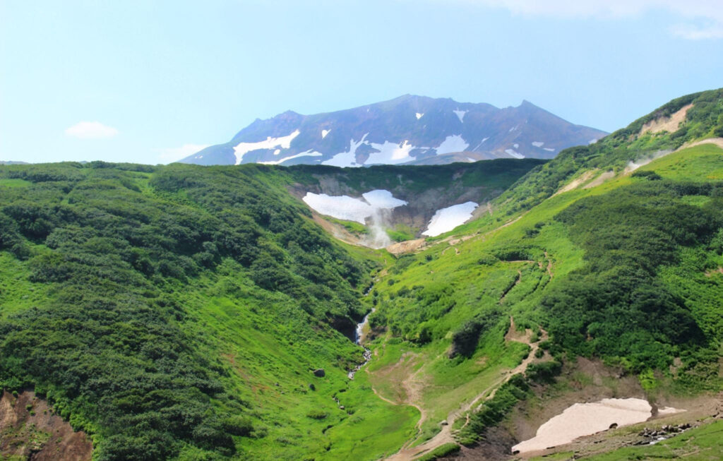 Steam rising from geothermal hot springs and geysers in Kamchatka Valley, surrounded by lush greenery and volcanic mountains.