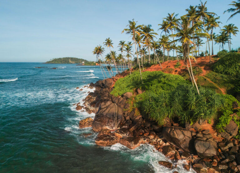 An aerial view of Mirissa Beach in Sri Lanka, showcasing its crescent-shaped shoreline, turquoise waters, and lush green palm trees.