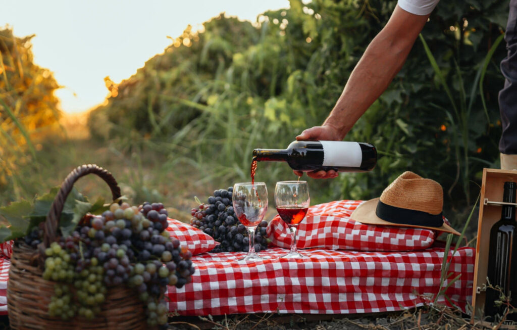 Close-up of red wine in a glass with vineyard background