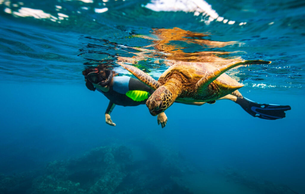 A girl snorkeling in clear turquoise water, surrounded by vibrant marine life