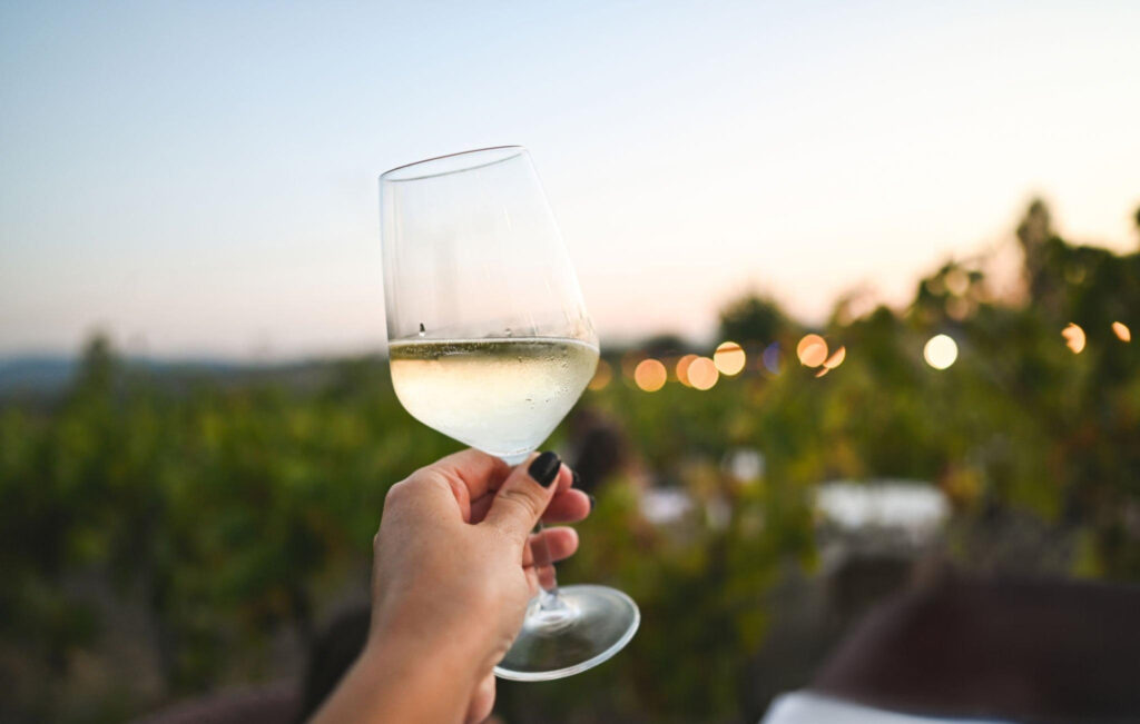 A glass of red wine held up against the vineyard backdrop in Vale dos Vinhedos, Brazil