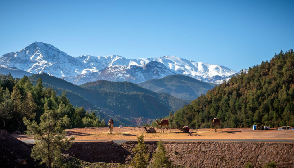 A scenic view of Ourika Valley in Morocco with lush greenery, a flowing river, and the Atlas Mountains in the background