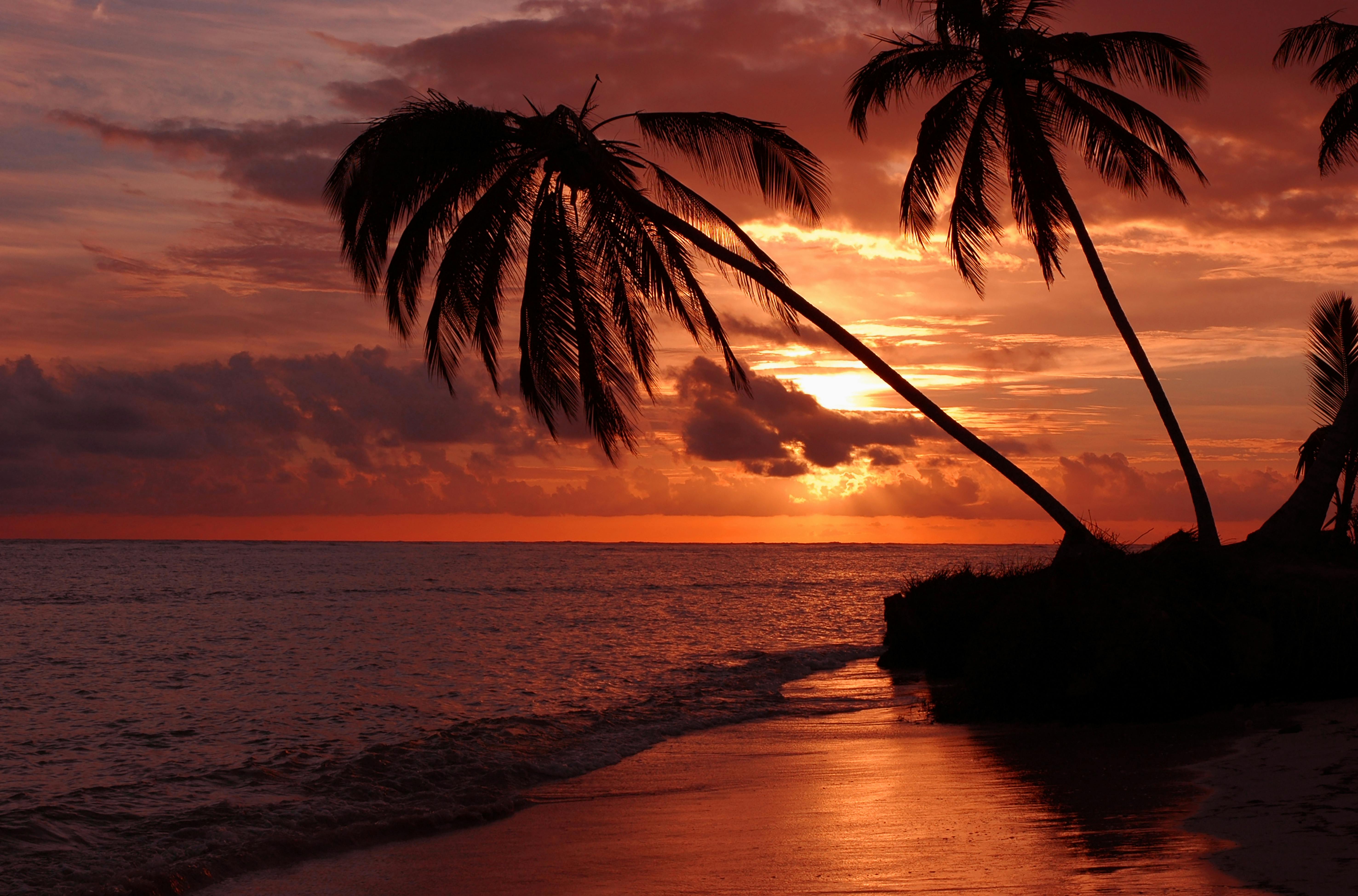 Sunset over Playa Paraíso Beach, with vibrant colors reflecting on the calm waters and silhouettes of palm trees along the shoreline.